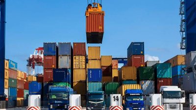 «الصادرات والواردات» تصدر 14 شهادة بيع حر لشركات مصرية مصدرة