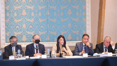 8.7 مليار دولار تمويلات تنموية ميسرة لقطاعات الدولة خلال 2021