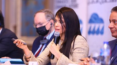 1.56 مليار دولار تمويلات تنموية للقطاع الخاص خلال العام الماضي