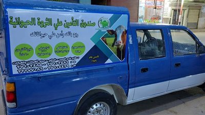 «الزراعة»: صندوق التأمين على الماشية يصرف تعويضات 100% من قيمة الحيوان