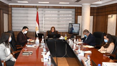 «التخطيط»: مصر تتجه  نحو الاقتصاد الأخضر 