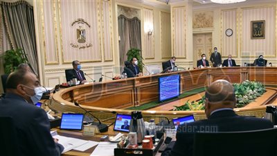 دمج صندوق تحسين الأقطان المصرية في معهد بحوث القطن