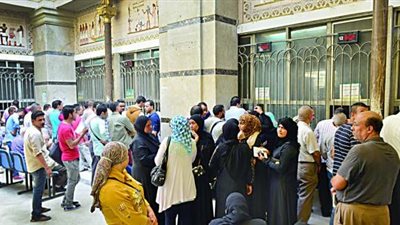 حملة لاستخراج شهادات الميلاد والبطاقات لساقطي القيد بسيناء