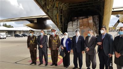 مصر ترسل مساعدات لدعم القطاع الصحي في لبنان 