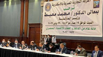 «معيط» يقرر تشكيل لجنة لوضع آليات تسريع وتيرة العمل بالتوكيلات الملاحية