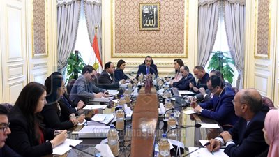 رئيس الوزراء يبحث فرص جذب الاستثمارات الخارجية وتوطينها في مصر