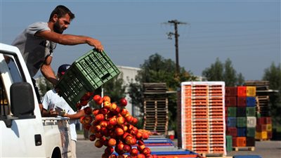 التمثيل التجاري: 183 مليون دولار قيمة صادرات الفاكهة لروسيا  في 2015