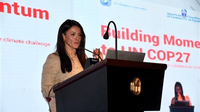 «المشاط»: 85 مشروعًا للتكيف مع التغيرات المناخية بـ 11.9 مليار دولار