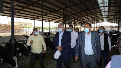 «القصير» يتفقد مزرعة الإنتاج الحيواني وتصنيع الألبان بالنوبارية 