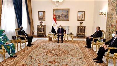 السيسي يبحث تطورات عددًا من القضايا السياسية على الساحة الأفريقية