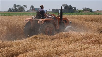 الولايات المتحدة الأمريكية ترصد 50 مليون دولار لدعم الأمن الغذائي في مصر