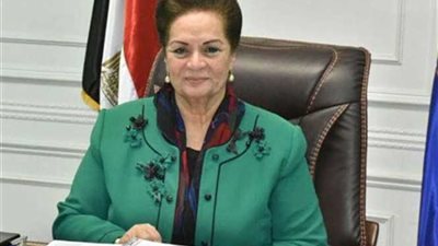 محافظ البحيرة: افتتاح 8 منافذ لبيع السلع بأسعار مخفضة في المحمودية