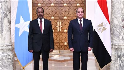 السيسي يؤكد دعم مصر لجهود تعزيز الأمن والقضاء على الإرهاب في الصومال