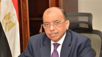 شعراوي: تمويل 2.194 مشروعا صغيرا باستثمارات 24 مليون جنيه