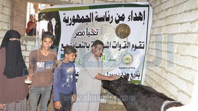 بالصور..رئاسة الجمهروية توزع 2645 رأس ماشية للاسر الاكثر احتياجاً
