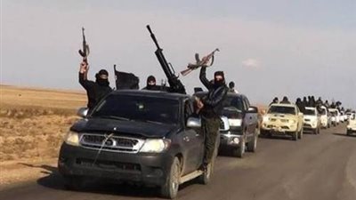 بالفيديو..تنظيم 