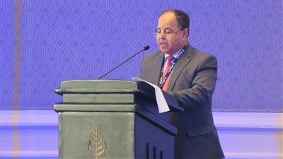 وزير المالية يدعو صنَّاع التأمين بالعالم للإسهام فى تحول أفريقيا للاقتصاد الأخضر