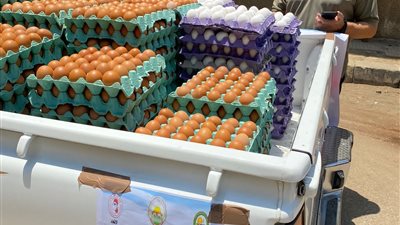 «الزراعة» تواصل طرح كميات من البيض بسعر 58 جنيه للكرتونة 