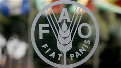 أسعار الغذاء العالمية تسجل أعلى مستوياتها منذ عام 2014