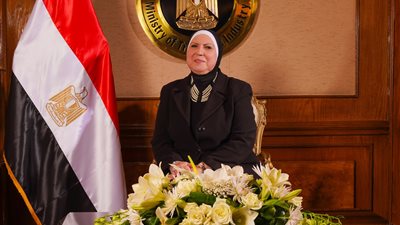 وزيرة التجارة تصدر قراراً باستمرار رسم الصادر على عدد من الخامات التعدينية