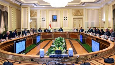 الحكومة تخصص 15 فدانًا فى 