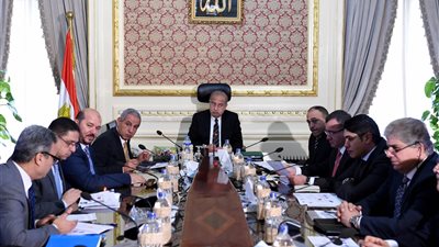 الجريدة الرسمية تنشر إرجاء تنفيذ قراري إنشاء وتشكيل 