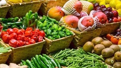 ارتفاع صادرات الحاصلات الزراعية إلى 2.2 مليار دولار خلال 10 أشهر 