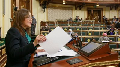 السعيد: خطة شاملة لإعادة هيكلة بنك الاستثمار القومي