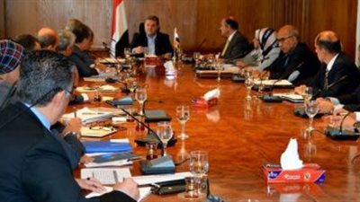 وزير قطاع الأعمال : خطة لزيادة الطاقة الإنتاجية والحصة السوقية لشركات الأدوية