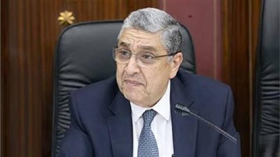 255 مليون جنيه لتطوير شبكة الكهرباء بالوادي الجديد في 6 سنوات