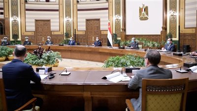 السيسي يبحث مع رئيس «ديمي» تطوير بحيرة البردويل