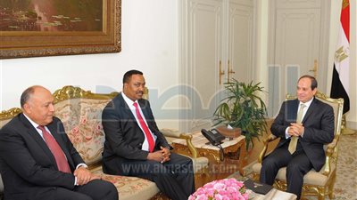 تفاصيل لقاء السيسي وزير خارجية إثيوبيا (صور)