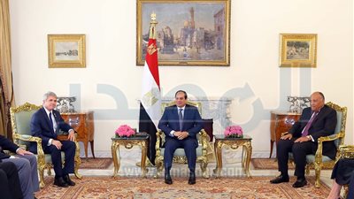 السيسي لوفد الكونجرس الأمريكي:  مصر ترسخ دعائم الدولة المدنية وسيادة القانون
