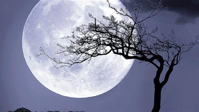 البحوث الفلكية: غرة شهر شعبان الخميس المقبل