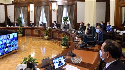 الحكومة توافق علي تغذية مشروع إنتاج الأمونيا الخضراء بالكهرباء مؤقتًا