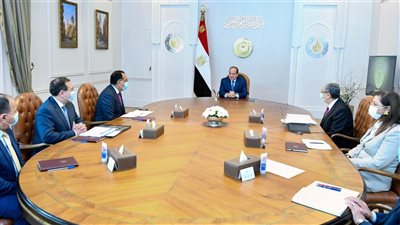 السيسي يوجه بتعزيز الخطط الوطنية لزيادة الطاقة المتجددة وتعظيم قيمتها