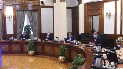 الحكومة تستعد لإطلاق المبادرة الرئاسية للتشجير «100 مليون  شجرة»