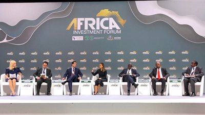 وزيرة التعاون الدولى تدعو المستثمرين بالقارة السمراء لـ