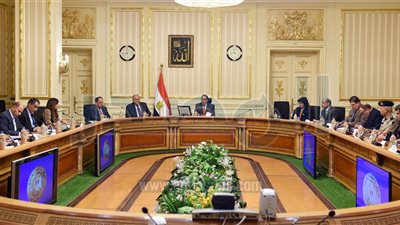 الحكومة تبحث خطة الاستعداد لرئاسة الاتحاد الأفريقى فى 2019