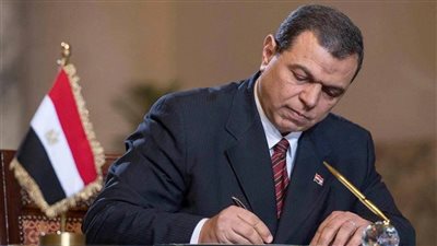 تعيين 3710 شباب.. واستخراج  1488 شهادة مستوى مهارة في الجيزة