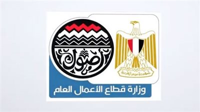 «قطاع الأعمال»: دمج شركتي النصر والهندسية للسيارات لإنتاج المركبات الكهربائية