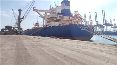 «موانئ دبي العالمية السخنة» تستقبل إحدى أكبر سفن الصب في العالم