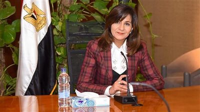 إطلاق منصات تواصل لرواد الأعمال المصريين في الخارج والأفارقة