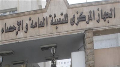 «الإحصاء»: معدل البطالة 7.4% خلال الربع الأخير لعام 2021