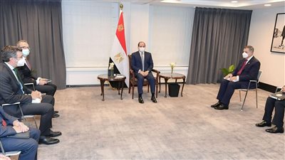 السيسي يبحث التعاون مع شركات بلجيكية في مجال إنتاج الهيدروجين الأخضر