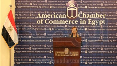 وزيرة التعاون الدولي: استراتيجية جديدة لتنويع مصادر التمويل وانجاز مشاريع التنمية