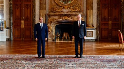 السيسي يبحث مع ملك بلجيكا تعزيز التعاون بين البلدين