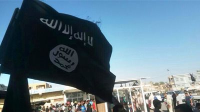 خبير: تنظيم الدولة في مصر 