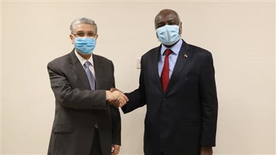 وزير الكهرباء يتابع خطوات رفع قدرة خط الربط الكهربائي مع السودان