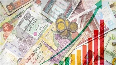 حافظ على مسار النمو.. المؤسسات الدولية تتوقع استمرار الأداء القوي لاقتصاد مصر| إنفوجراف
